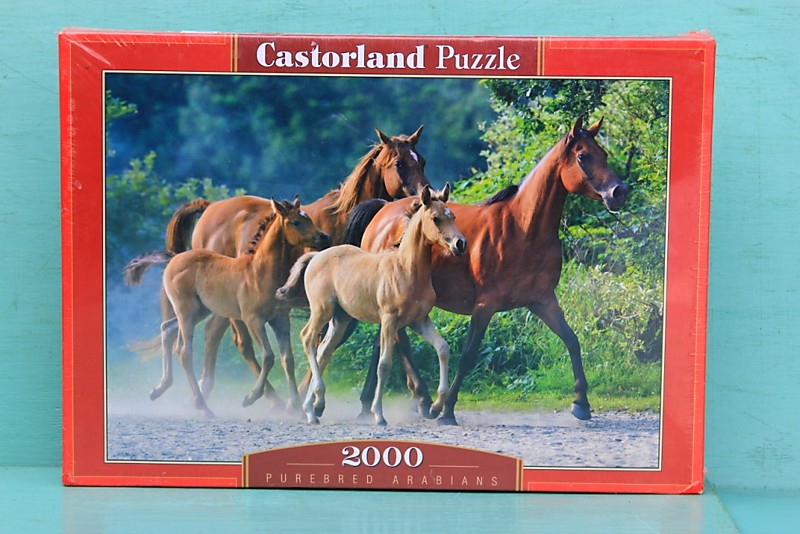 ПАЗЛ CASTORLAND 2000