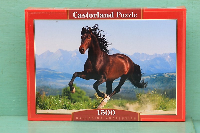 ПАЗЛ CASTORLAND 1500