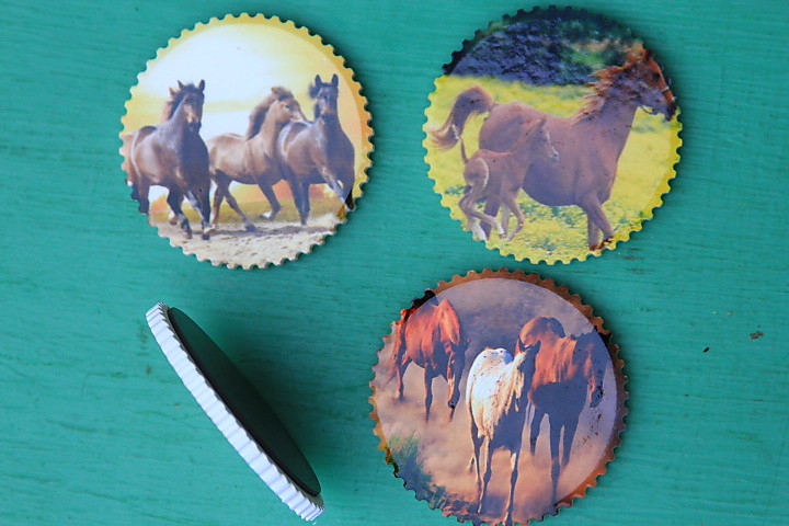 Магнит плоский - Лошади